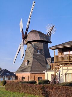 Windmühle Kühlungsborn - Ansicht der Mühle 2025