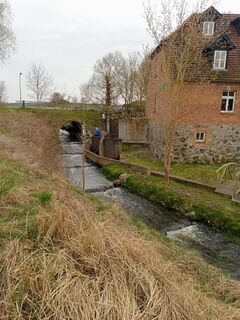 Wassermühle Schloen - Fischtreppe 2024