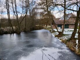 Wassermühle Zarrentin die Schaalmühle - Ansicht Mühlenteich südlich 2025