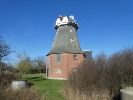 Zwillingswindmühlen Neu Vorwerk - Galerieholländer - Blick auf die Windmühle 2024