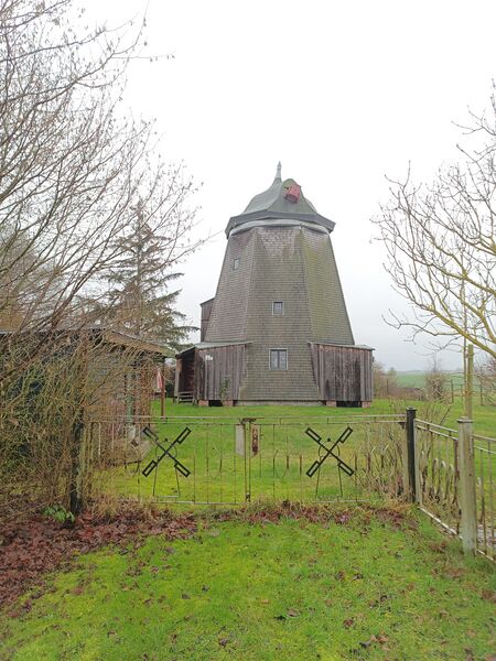Datei:Windmühle Greifswald Bild 1.jpg