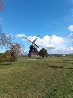 Windmühle Rövershagen - Ansicht der Mühle vom Müllergehöft 2024
