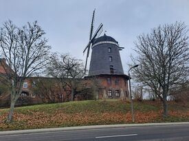 Windmühle 5 in Woldegk die Seemühle - Ansicht der Mühle 2025