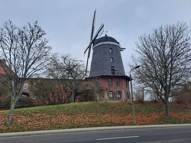 Datei:Woldegk-5-Seemuehle-Windmuehle-Muehlen-MV-Foto-Arlt-2025-2.jpg