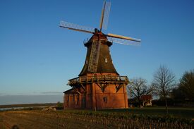 Windmühle Goldberg - Sicht auf Mühle neben alten Mühlengehöft 2024