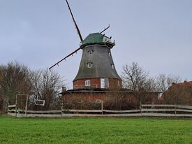 Windmühle Neubukow - Ansicht Mühle vom Acker 2025
