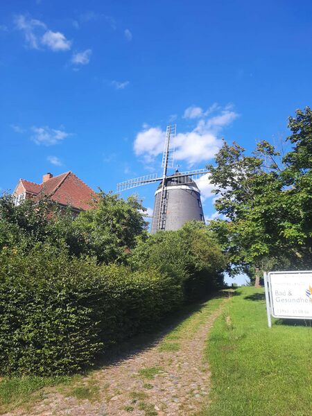 Datei:Windmühle Woldegk VI Bild 3.jpg