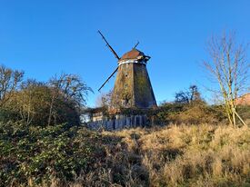 Windmühle Alt Tellin - Mühle neben Müllerhaus 2025