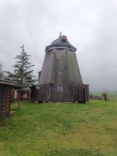 Erdholländer Neuenkirchen 1
