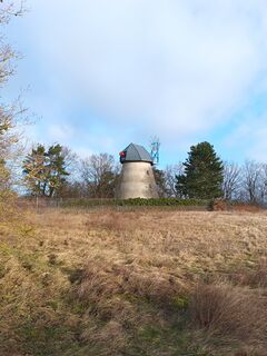 Windmühle Kamminke - Ansicht der Mühle auf der Anhöhe 2024