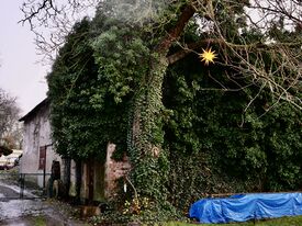 Windmühle Stralsund - Scheune auf ehemaligen Mühlengehöft 2025