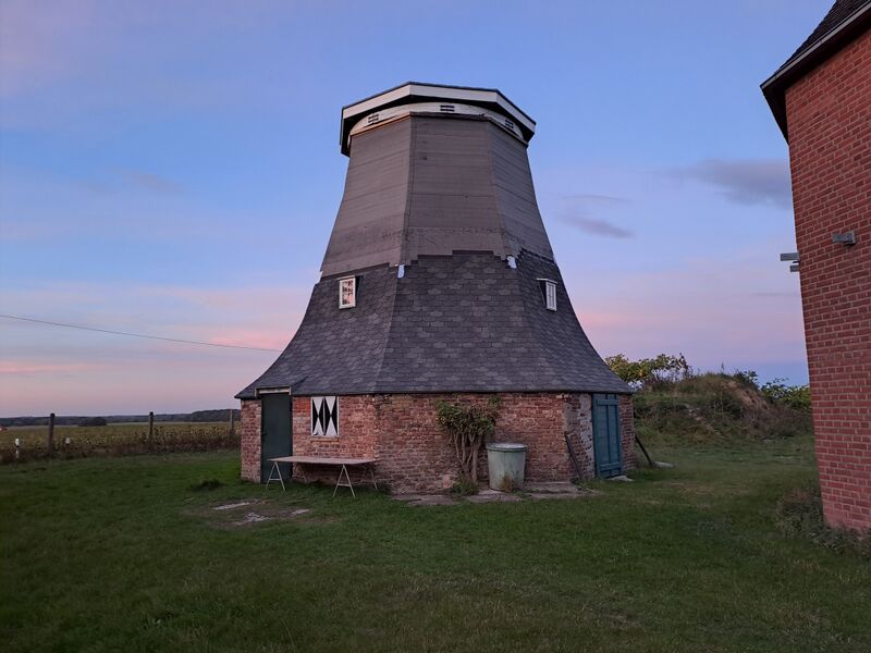 Datei:NeuVorwerk-1-Zwillingswindmuehlen-Muehlen-MV-Foto-Arlt-2025-1.jpg