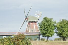 Windmühle Zepelin - Ansicht der Mühle und Lagerbaracken des Mühlenhofes 2022
