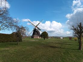 Windmühle Rövershagen - Ansicht der Mühle vom Müllergehöft 2024