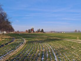 Windmühle in Neu Thulendorf - Mühle in freier Landschaft 2025