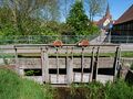 Vorschaubild der Version vom 15:03, 24. Dez. 2025