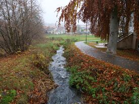 Wassermühle Burg Stargard - Fischaufstiegsanalage 2025