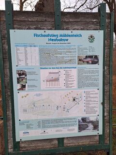 Wassermühle Neubukow - Infoschild zur Fischtreppe und mühlenteich 2025