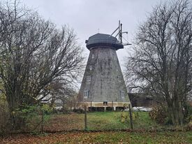 Windmühle 2 in Woldegk die Ehlertsche Mühle - Ansicht der Mühle 2025