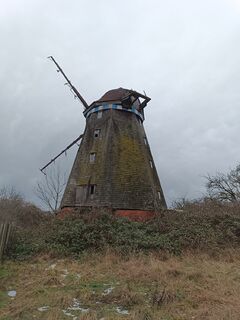 Windmühle Alt Tellin - Ansicht der völlig zugewucherten Mühle 2024
