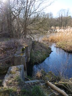 Wassermühle Vellahn die Bruchmühle - Wehr zur Mahlarche 2025