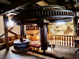 Windmühle Letzin - Königswelle mit offenen Mahlgang 2025