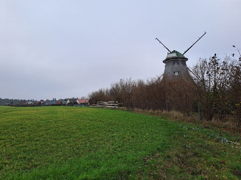 Datei:Neubukow-Windmuehle1-Muehlen-MV-Foto-Arlt-2025-9.jpg