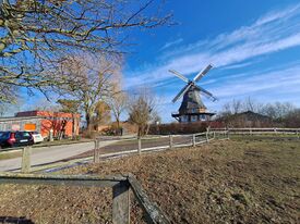 Windmühle 2 in Lichtenhagen - Ansicht beider Mühlen von der Straße 2025