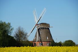 Windmühle Grebbin - Ansicht der Mühle 2024