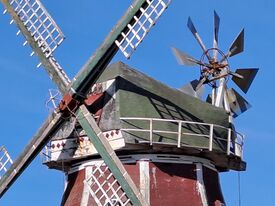 Windmühle Zepelin - Ansicht auf Kappe mit Flügel und Windrose 2025