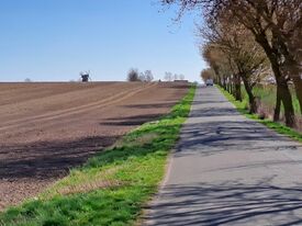 Windmühle Zepelin - Ansicht der Mühle in der Landschaft 2025