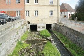 Beschreibung des Bildes