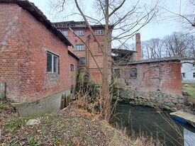Wassermühle Neubukow - Ansicht gekappte tote Abfluß aus der Mühle 2025