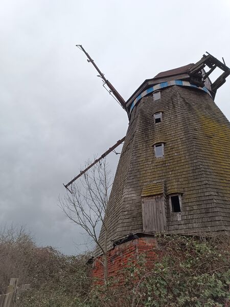 Datei:Windmühle Alt Tellin Bild 3.jpg