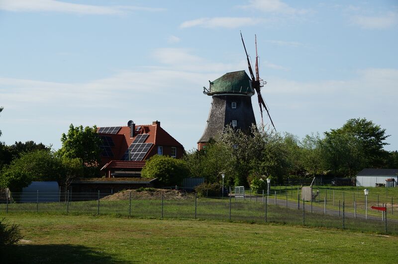 Datei:Neubukow-Windmuehle-Muehlen-MV-Foto-Arlt-2024-1.JPG