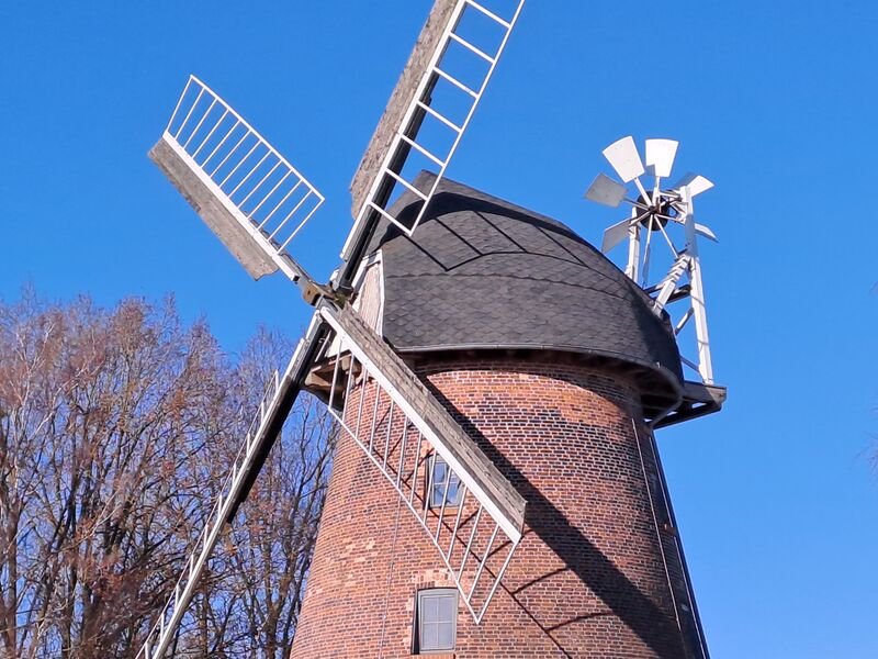 Datei:HagenowHeide-Windmuehle-Muehlen-MV-Foto-Arlt-2025-3.jpg