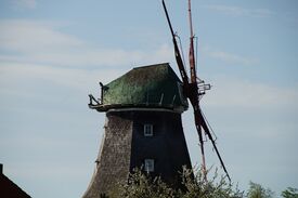 Windmühle Neubukow - Ansicht auf Mühle mit desolaten Ventikantenflügel und abgesägter Windrose 2024