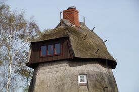 Windmühle Wustrow - Blick auf die Kappe 2024