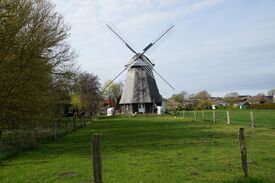 Windmühle Ahrenshoop - Ansicht der wiederauferstandenen Mühle 2024