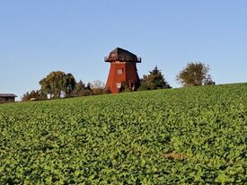 Windmühle Neukalen - Mühle frei stehend hoch oberhalb der Stadt 2025