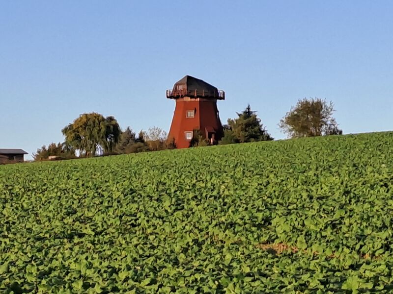 Datei:Neukalen-Windmuehle-Muehlen-MV-Foto-Arlt-2025-1.jpg