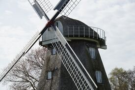 Windmühle Ahrenshoop - Ansicht auf Kappe und Flügel 2024