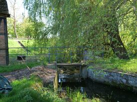 Wassermühle Levitzow - Reste Stauanlage 2025