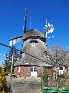 Windmühle Dorf Mecklenburg - Ansicht der Mühle 2025